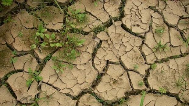 Основные проблемы почвенного покрова степей россии Экологические проблемы почвенных ресурсов